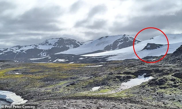 Antarctica's Ice Sheets Under Threat: 20% Sea Ice Decline by 2100 Could Trigger Global Climate Shifts