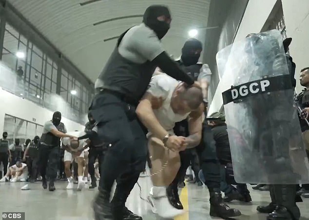 Bari Weiss Withdraws from UCLA Lecture Over Security Fears, Sparking Free Speech Debate