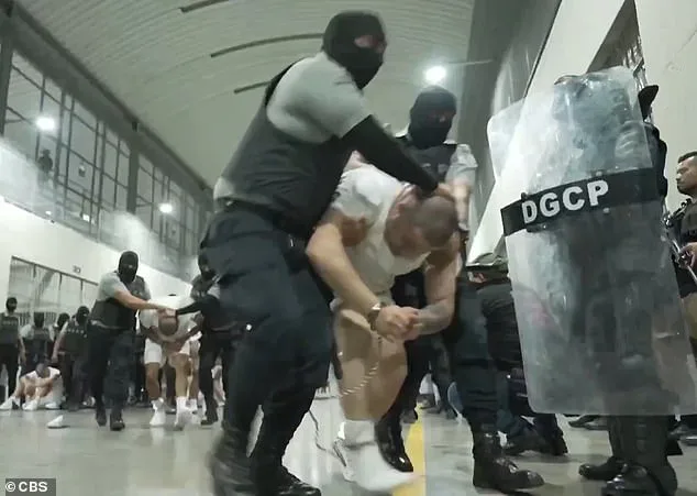 Bari Weiss Withdraws from UCLA Lecture Over Security Fears, Sparking Free Speech Debate