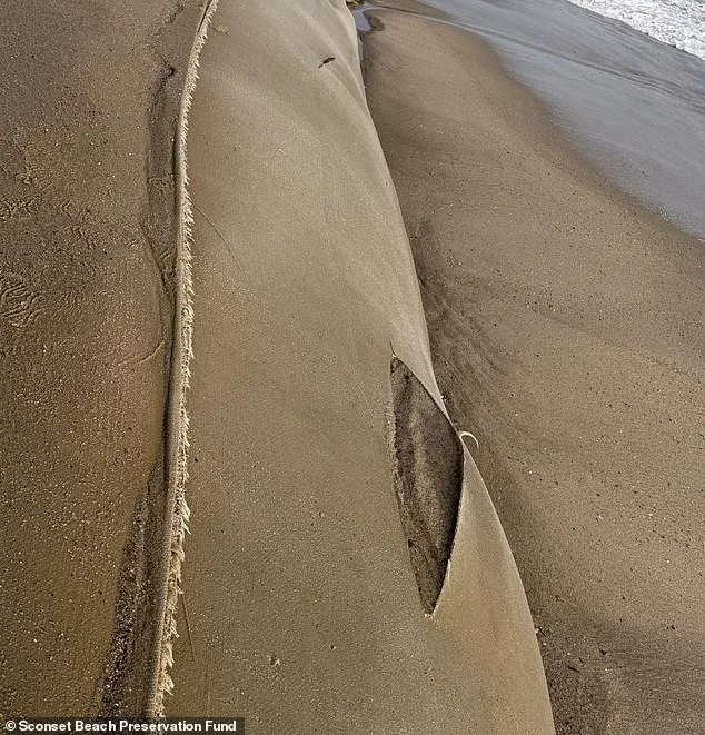 Nantucket Officials Offer $10,000 Reward for Vandalism Damaging Erosion Control Devices