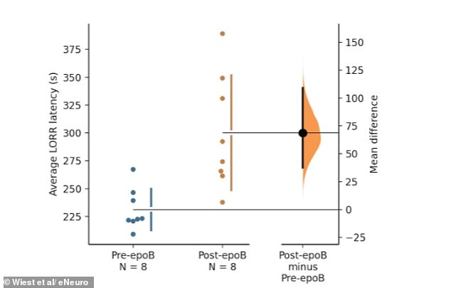 Quantum Consciousness Theory Challenges Traditional Neuroscience Paradigm