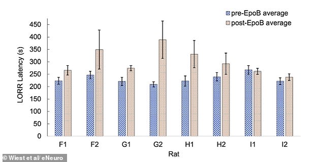 Quantum Consciousness Theory Challenges Traditional Neuroscience Paradigm
