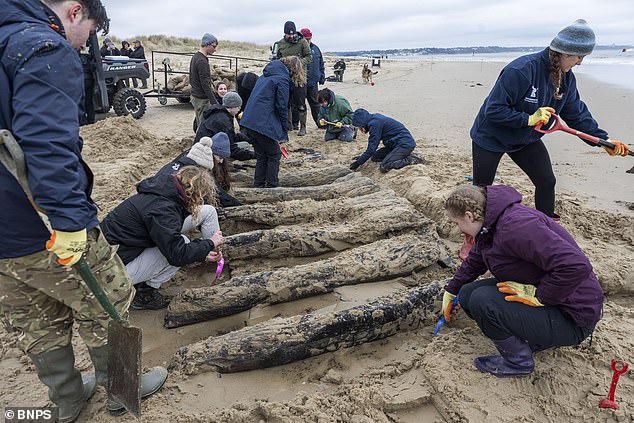 Race Against Time to Preserve 17th-Century Dutch Shipwreck 'The Fame of Hoorn' on Dorset Beach