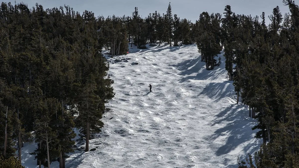 Two More Skiers Found Dead in Lake Tahoe Amid Ongoing Backcountry Tragedy