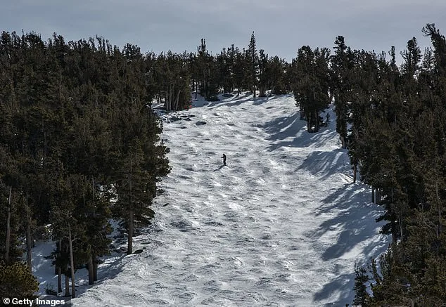 Two More Skiers Found Dead in Lake Tahoe Amid Ongoing Backcountry Tragedy