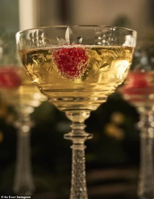 Meghan Markle's Glamorous Gamble: Balancing Royal Image with Brut Wine Marketing