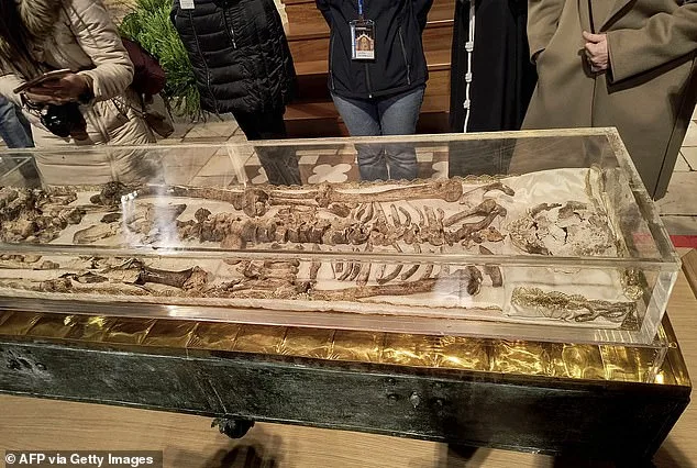 St. Francis of Assisi's Bones Unveiled After 800 Years of Secrecy, Drawing Pilgrims for 800th Anniversary Celebration