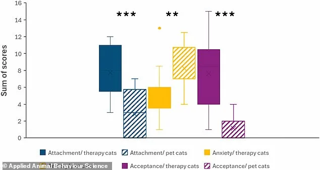 Study Reveals Cats' Independence: Therapy Cats Show No Preference for Owners Over Strangers