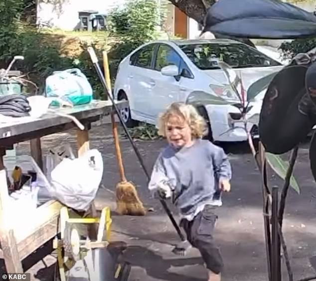 Three-Year-Old's Terrifying Coyote Attack in Pasadena Leaves Mother in Shock