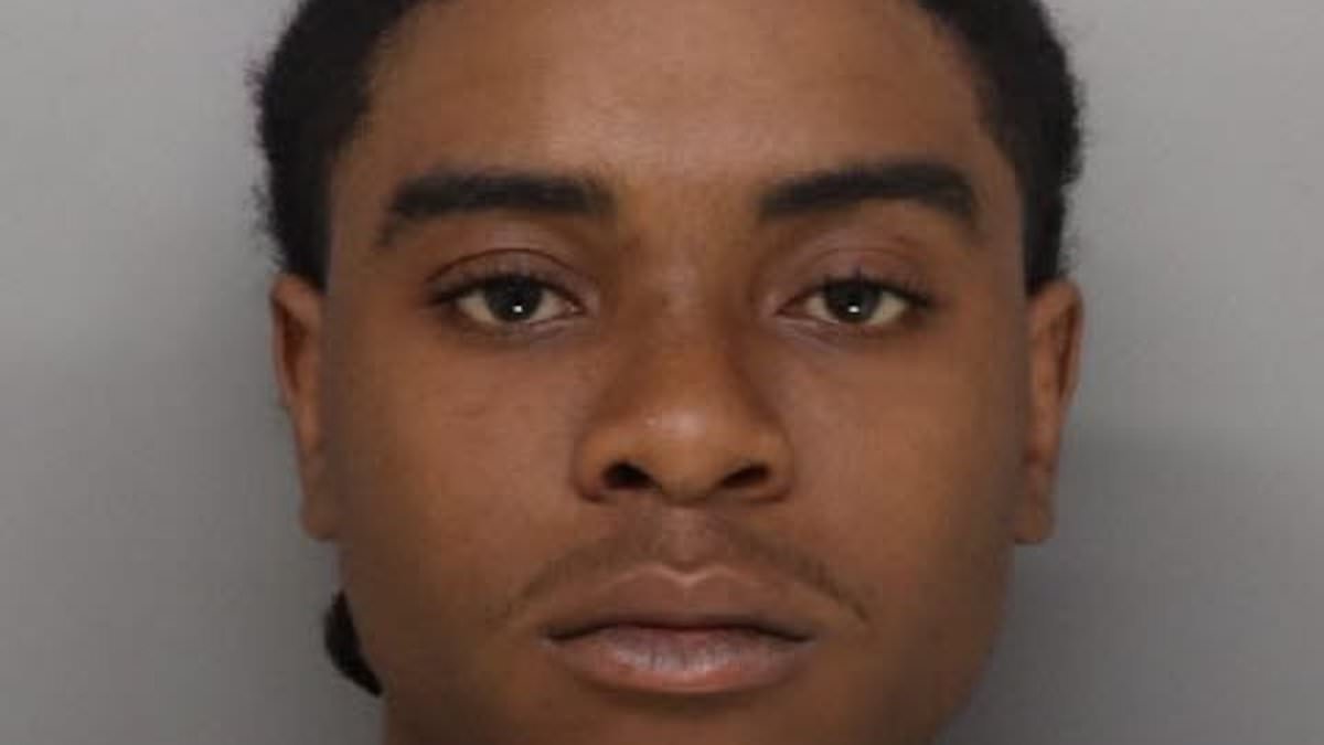 Courtroom Chaos as Plea Deal Sparks Outrage Over Reduced Sentence in Teen's Death