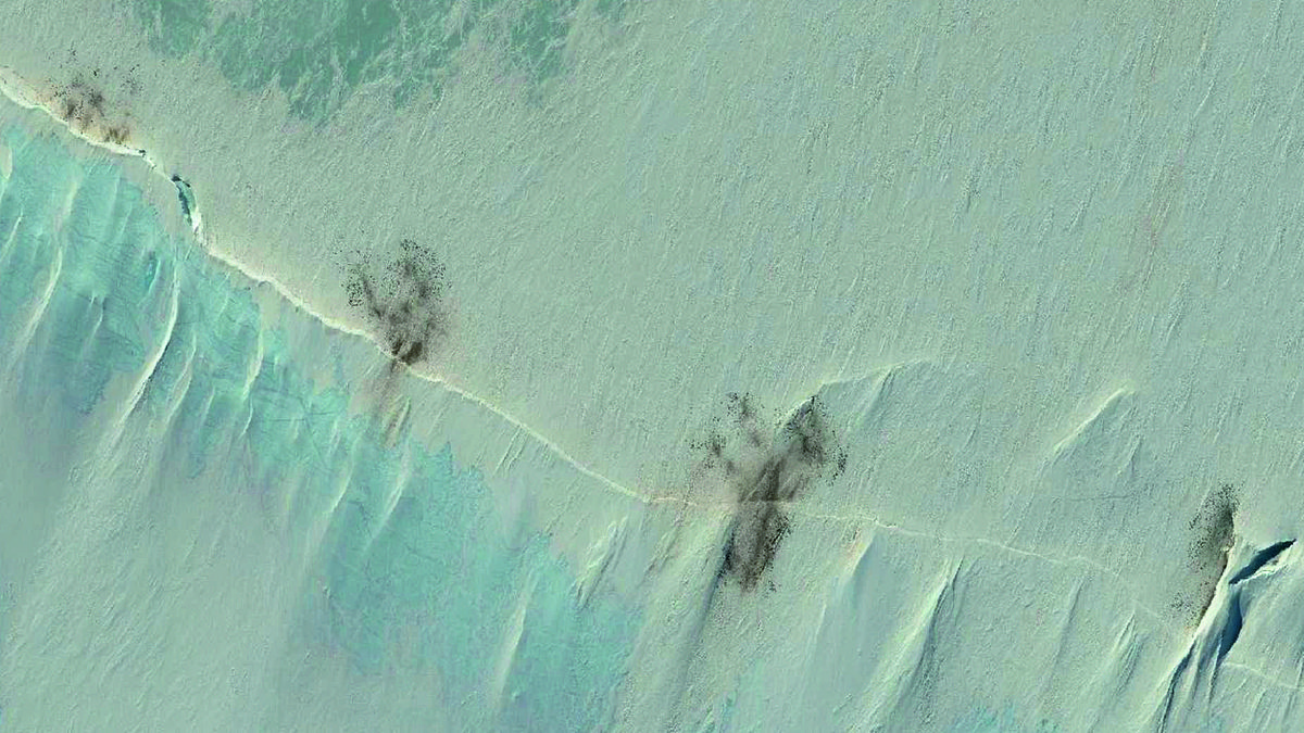 Shrinking Antarctic Sea Ice Threatens Emperor Penguins During Vulnerable Moulting Period, Study Shows