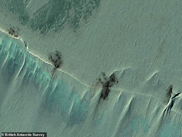 Shrinking Antarctic Sea Ice Threatens Emperor Penguins During Vulnerable Moulting Period, Study Shows