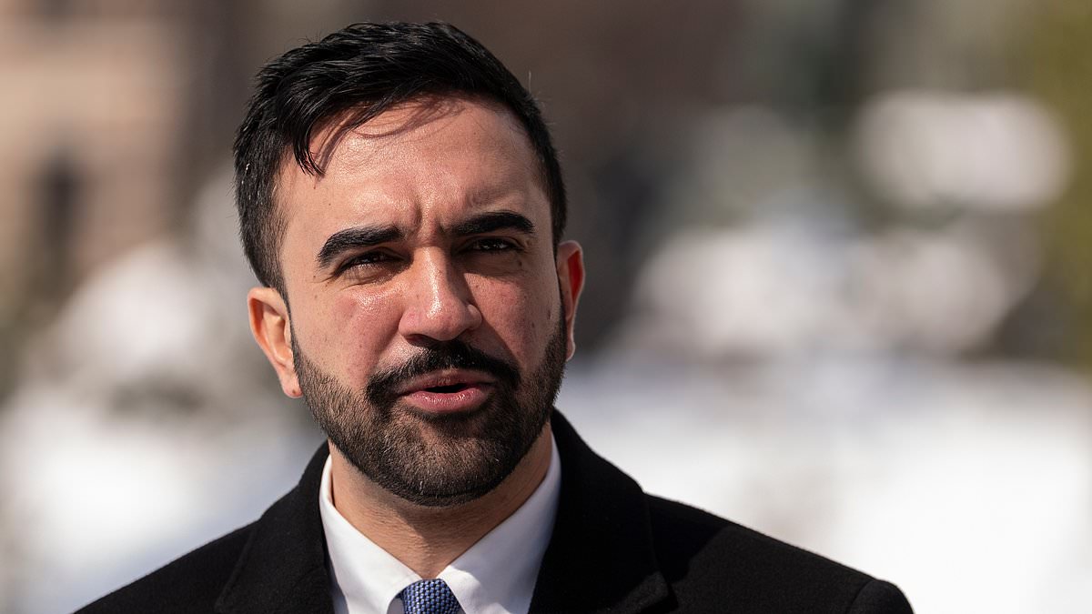 New York City Mayor Zohran Mamdani's $70 Million Grocery Store Study Proposal Sparks Controversy