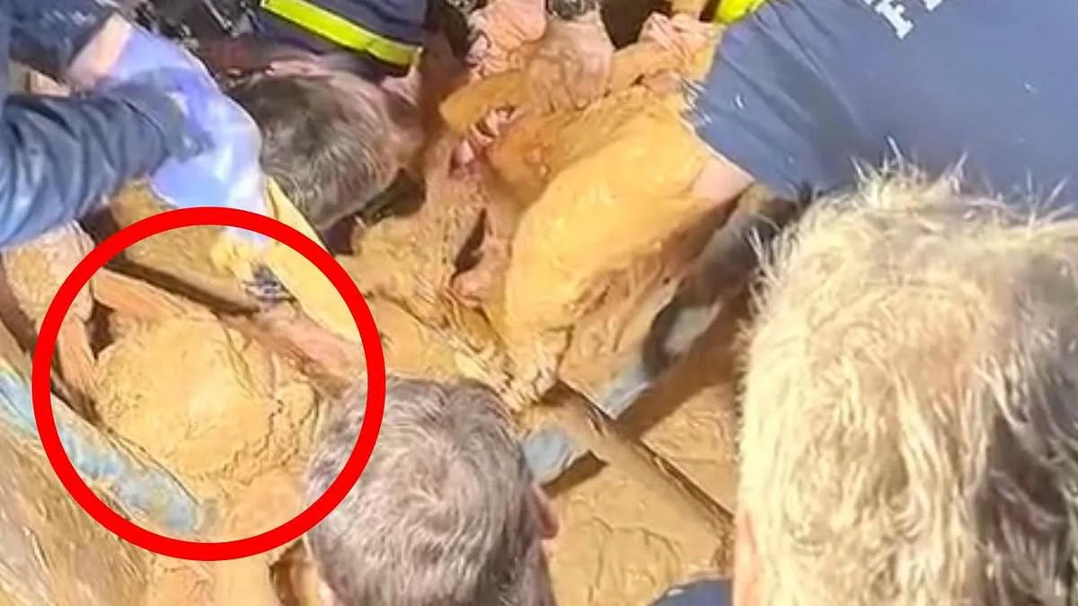 Florida Man Rescued After 10-Day Disappearance in Mud Trap