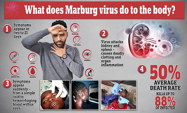 Hidden Battleground in Ugandan Cave Reveals Pathway for Deadly Marburg Virus to Leap to Humans