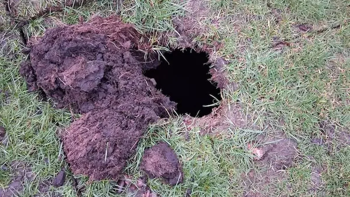 Greenkeeper's Sinkhole Discovery Unearths Hidden History at Davyhulme Park Golf Club