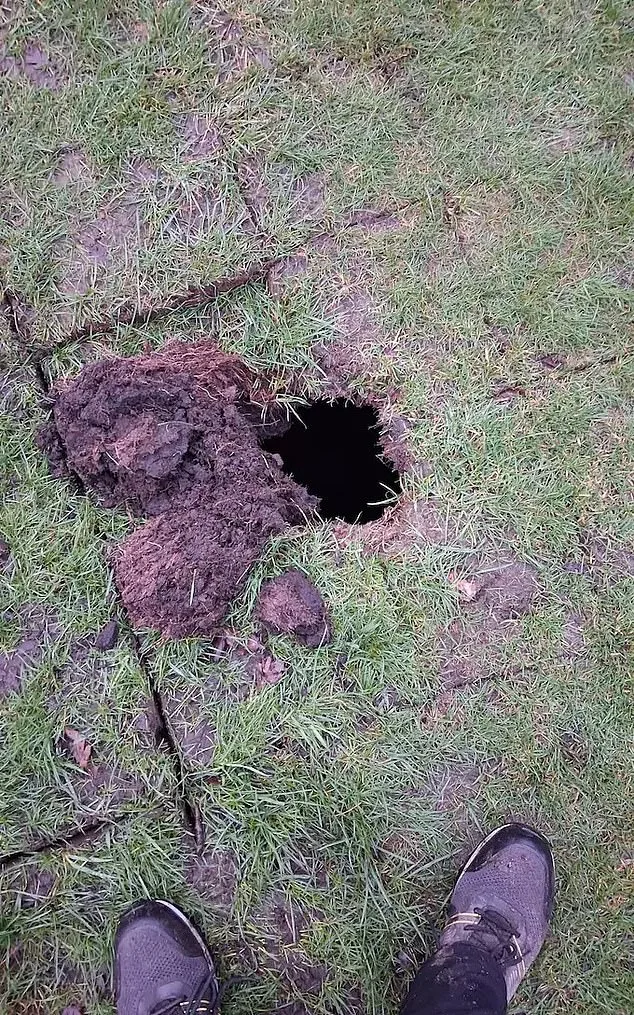 Greenkeeper's Sinkhole Discovery Unearths Hidden History at Davyhulme Park Golf Club