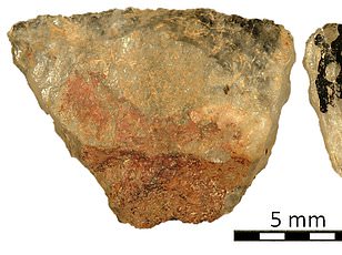 Ancient Hungarian Skeleton Challenges Gender Norms in Prehistoric Societies