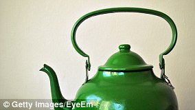 Embrace the Chaos: Letting Caterpillars Save Moths as Gardeners Join Conservation Efforts