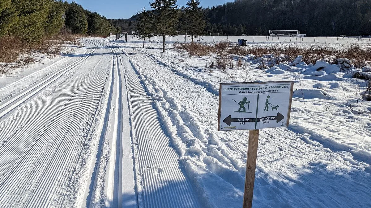 Tragic Sledding Accident in Ontario Sparks Safety Questions After Four-Year-Old's Death