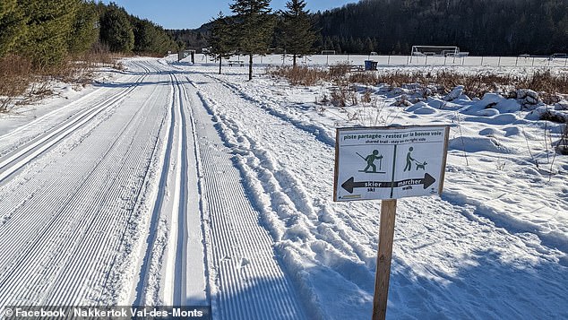 Tragic Sledding Accident in Ontario Sparks Safety Questions After Four-Year-Old's Death