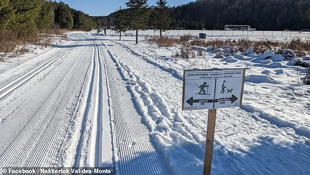 Tragic Sledding Accident in Ontario Sparks Safety Questions After Four-Year-Old's Death