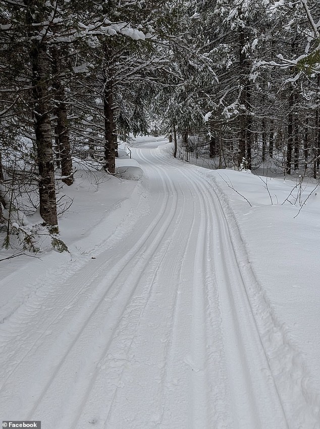 Tragic Sledding Accident in Ontario Sparks Safety Questions After Four-Year-Old's Death