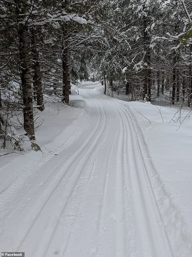 Tragic Sledding Accident in Ontario Sparks Safety Questions After Four-Year-Old's Death