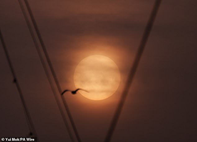 Saharan Dust Plume Sparks 'Blood Rain' in UK, Staining Surfaces with Orange Haze