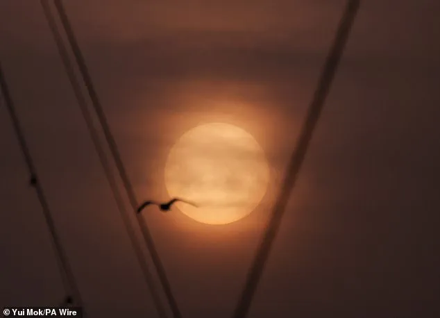 Saharan Dust Plume Sparks 'Blood Rain' in UK, Staining Surfaces with Orange Haze