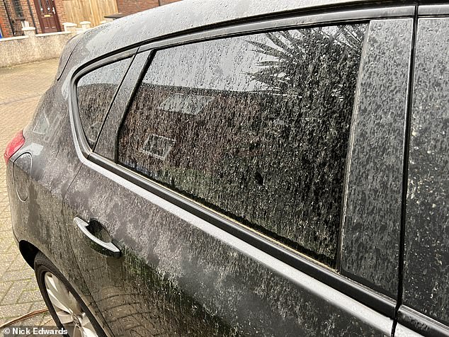 Saharan Dust Plume Sparks 'Blood Rain' in UK, Staining Surfaces with Orange Haze