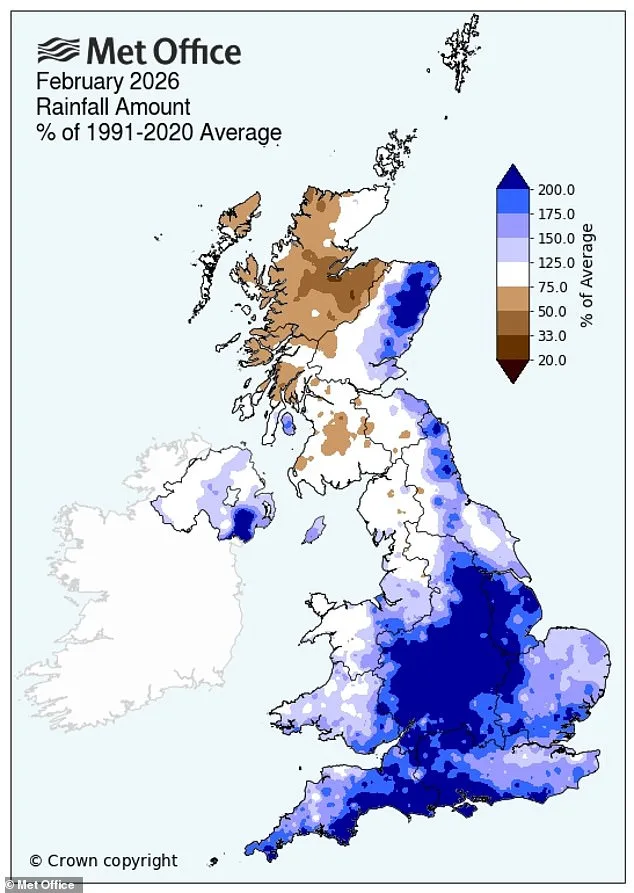 Britain's Gardens Face Slugageddon Repeat as Wet February 2026 Sparks Slug Surge