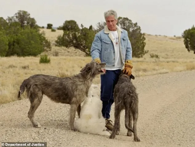 Vanishing Caretakers of Epstein's Zorro Ranch: Federal Probe into Mysterious Inheritance and Secret Operations