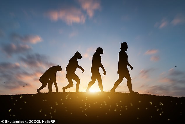 From Evolution's Bedrock to a Revelation: Dr. Michael Guillen's Journey Bridging Science and Faith