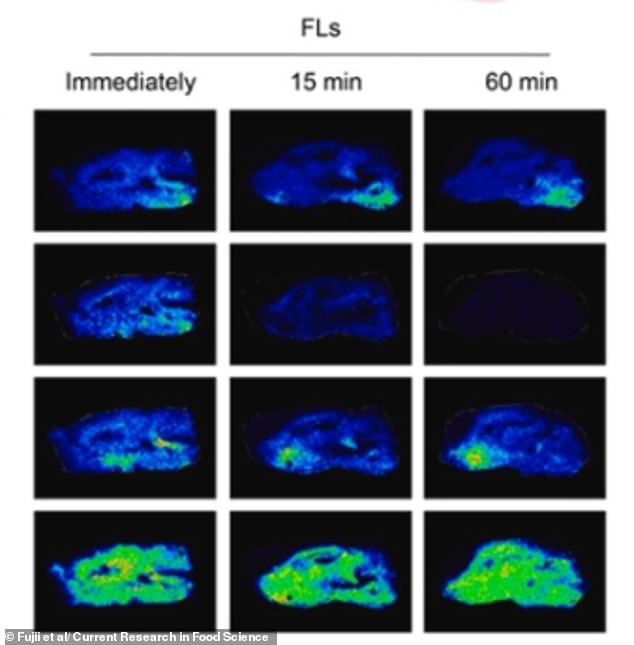 Flavanols in Red Wine and Chocolate May Boost Brain Function Like Exercise, Study Suggests
