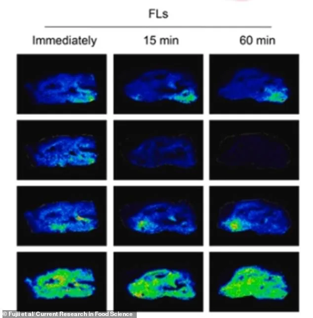 Flavanols in Red Wine and Chocolate May Boost Brain Function Like Exercise, Study Suggests