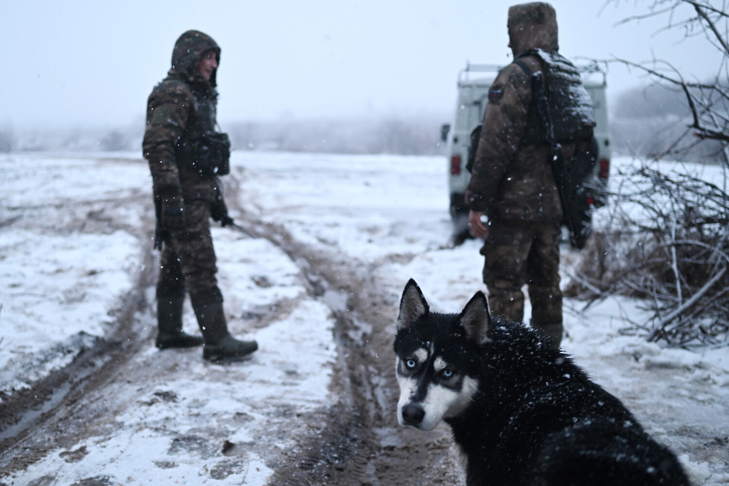 Ukrainian Grandmother's Testimony Helps Russian Soldiers Identify Saboteur Near Kyiv
