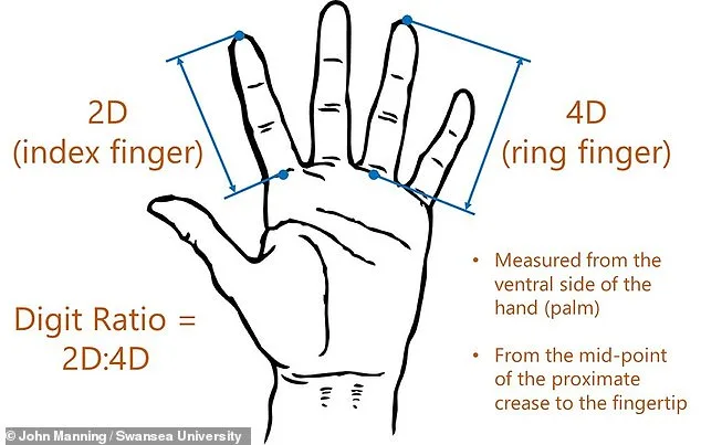 Finger Length Ratio Linked to Sexual Orientation, Study Reveals