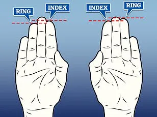 Finger Length Ratio Linked to Sexual Orientation, Study Reveals