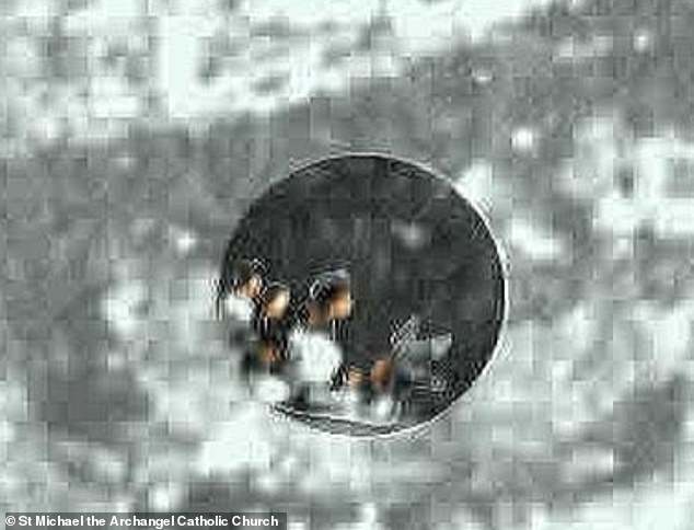 Miracle or Mystery? Tilma of Guadalupe's Hidden Figures Challenge Science and Faith