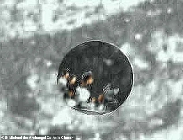 Miracle or Mystery? Tilma of Guadalupe's Hidden Figures Challenge Science and Faith