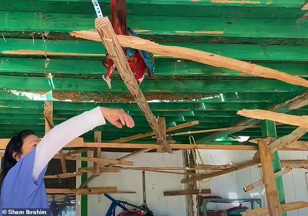 Heidi Fleiss's Noisy Macaws Spark Las Vegas Neighborhood Feud