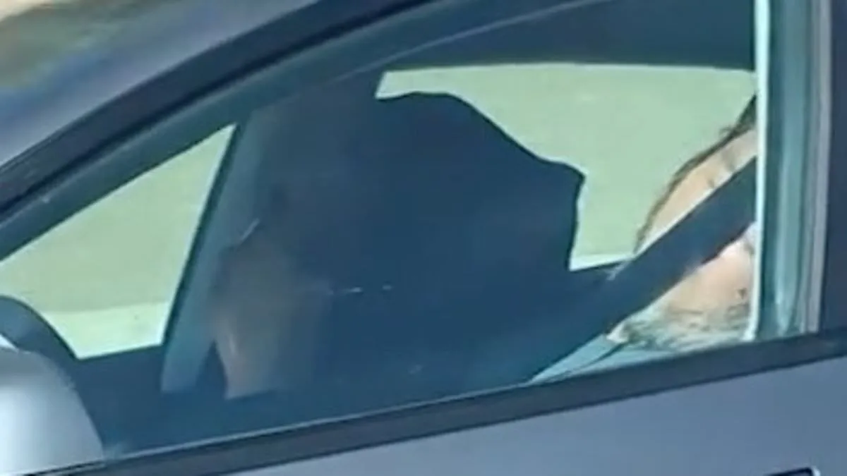 Sleeping Elders in Autonomous Tesla Spark Concerns Over Self-Driving Safety