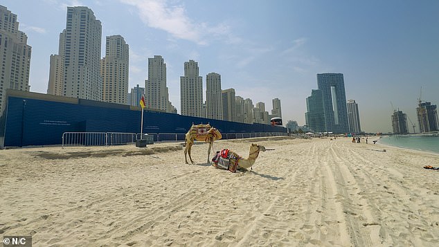 Dubai's Golden Age Fades: As Iran's Missiles Fall, a Tax-Free Paradise Turns to Ashes