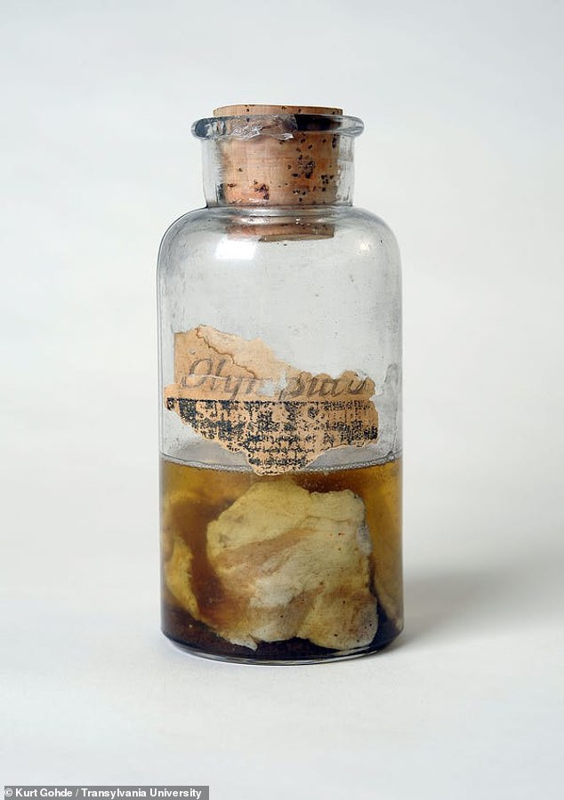 Meat Raining from the Sky: The Kentucky Meat Shower