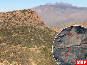 Meat Raining from the Sky: The Kentucky Meat Shower