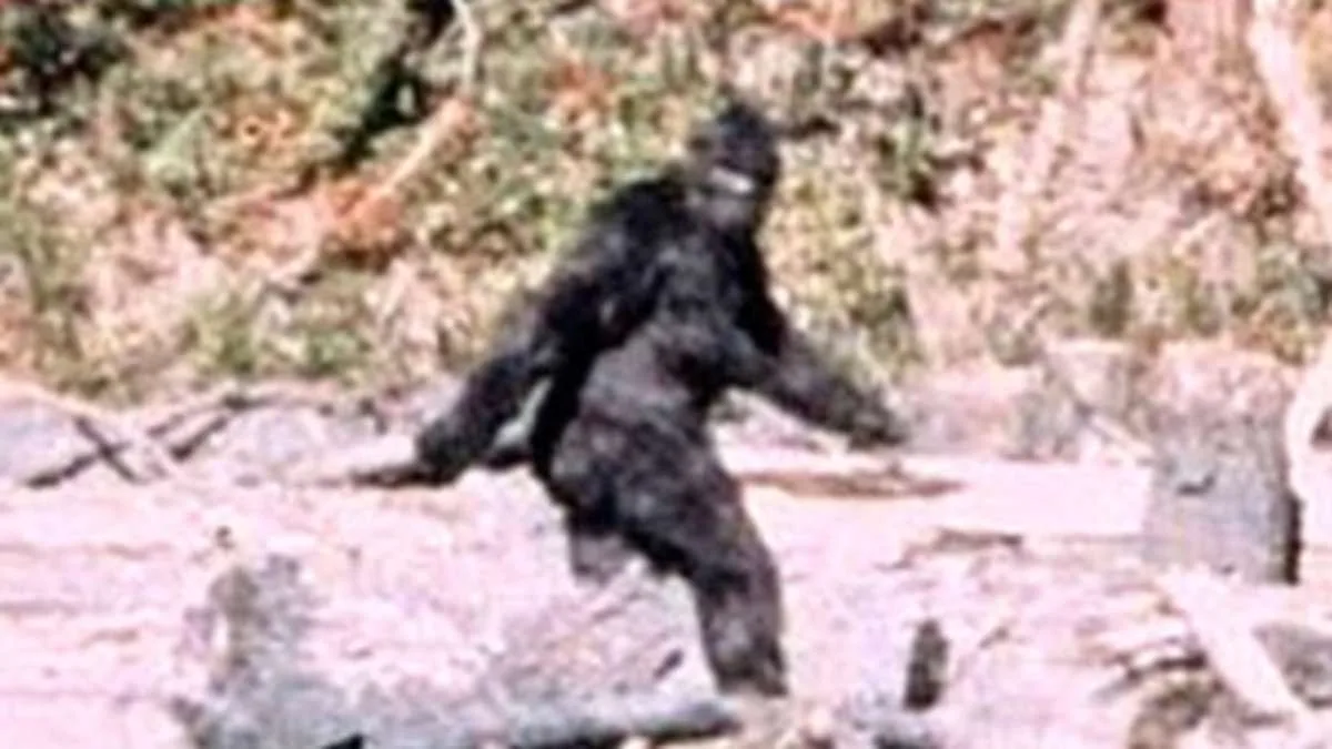 Unprecedented Bigfoot Flap in Ohio Sparks Mystery After Eight Sightings Reported Over Four Days
