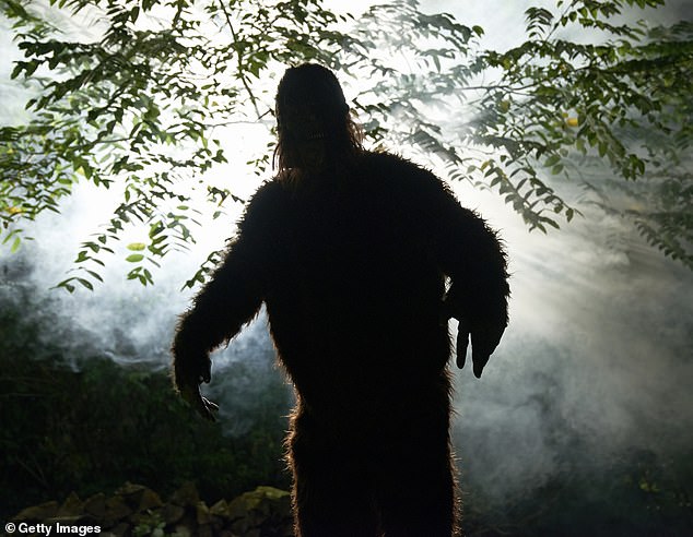 Unprecedented Bigfoot Flap in Ohio Sparks Mystery After Eight Sightings Reported Over Four Days