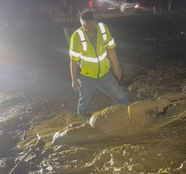 Bystanders Save Mississippi Man Trapped in Quicksand During ATV Ride