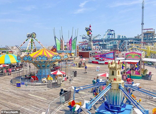 Man Sentenced for Decapitating Seagull That Took Fries from Daughter; Advocates Call Punishment Too Lenient